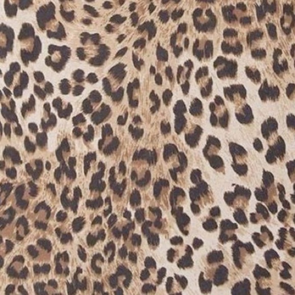 Meet your Posher, Clara - Picture 1 of 1